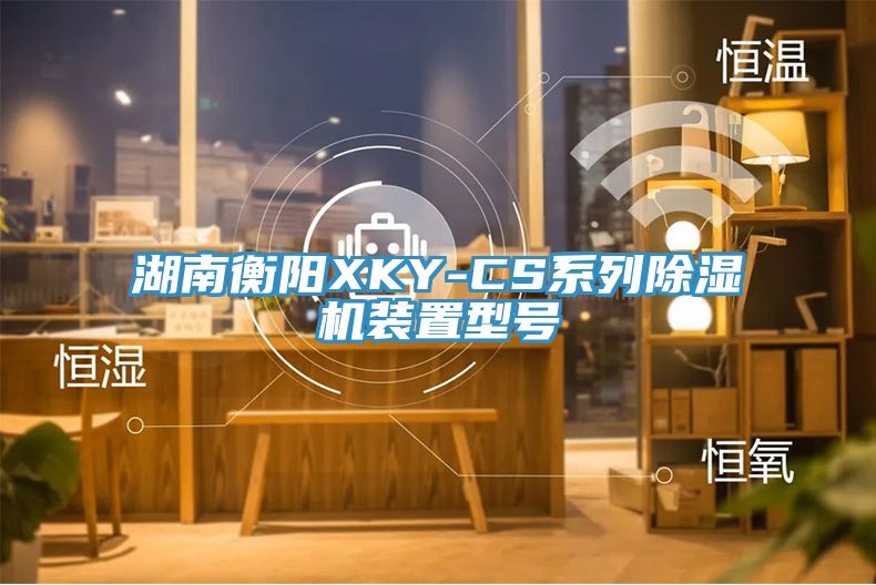 湖南衡陽(yáng)XKY-CS系列除濕機(jī)裝置型號(hào)