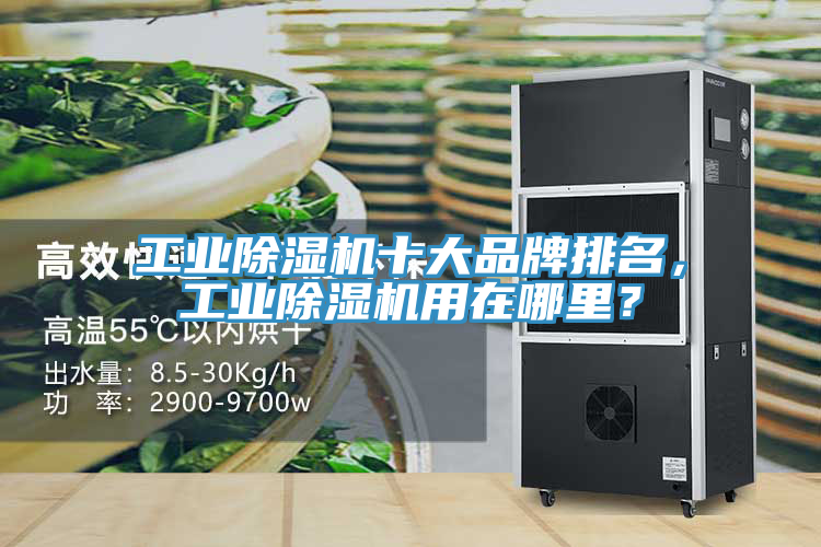 工業(yè)除濕機(jī)十大品牌排名，工業(yè)除濕機(jī)用在哪里？