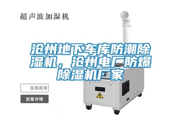 滄州地下車庫防潮除濕機(jī)，滄州電廠防爆除濕機(jī)廠家