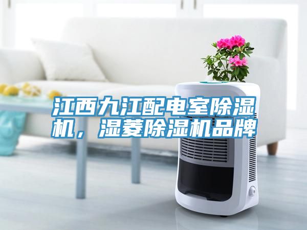 江西九江配電室除濕機(jī)，濕菱除濕機(jī)品牌