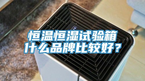 恒溫恒濕試驗箱什么品牌比較好？