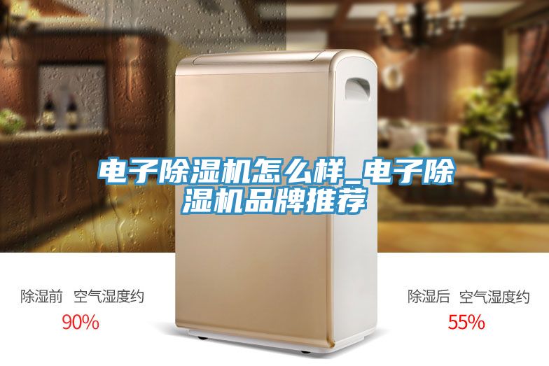 電子除濕機(jī)怎么樣_電子除濕機(jī)品牌推薦