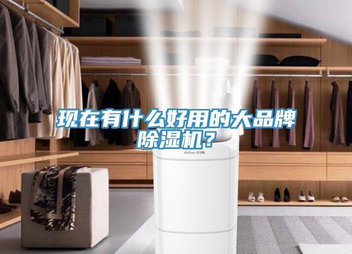 現(xiàn)在有什么好用的大品牌除濕機(jī)？