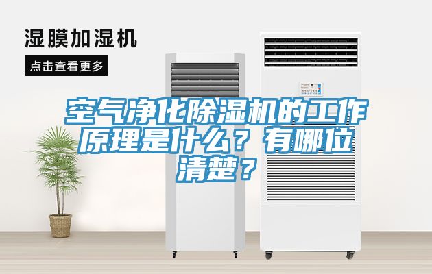 空氣凈化除濕機的工作原理是什么？有哪位清楚？