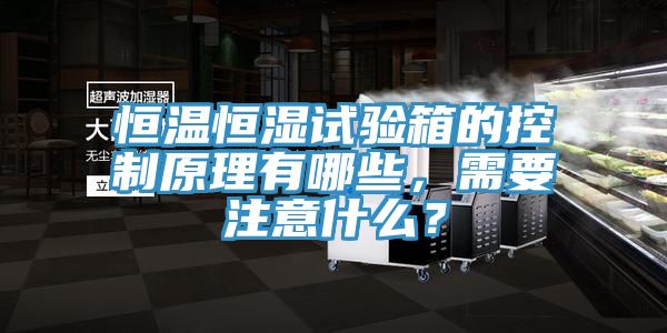 恒溫恒濕試驗(yàn)箱的控制原理有哪些，需要注意什么？