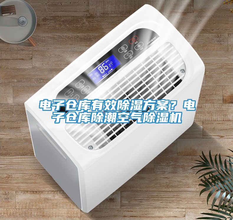 電子倉庫有效除濕方案？電子倉庫除潮空氣除濕機(jī)