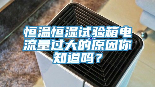 恒溫恒濕試驗箱電流量過大的原因你知道嗎？