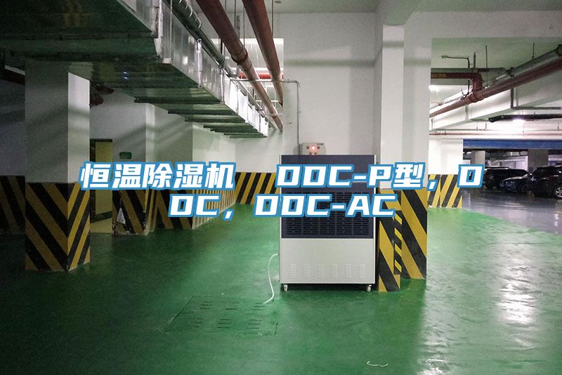 恒溫除濕機(jī)  DDC-P型，DDC，DDC-AC