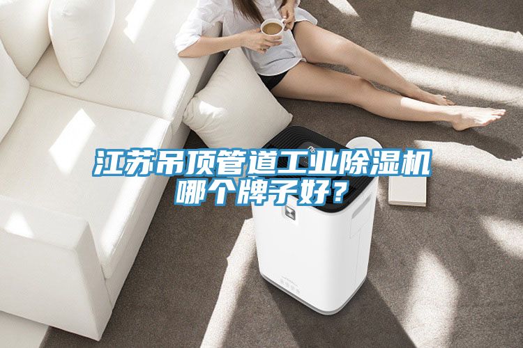 江蘇吊頂管道工業(yè)除濕機哪個牌子好？