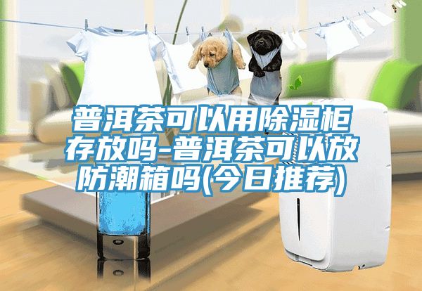 普洱茶可以用除濕柜存放嗎-普洱茶可以放防潮箱嗎(今日推薦)