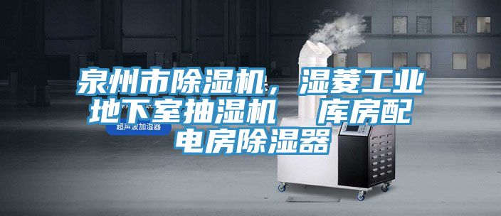 泉州市除濕機，濕菱工業(yè)地下室抽濕機  庫房配電房除濕器