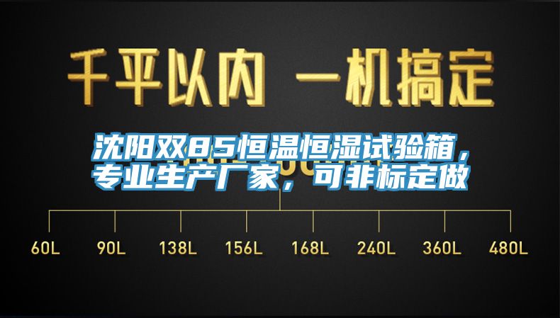 沈陽(yáng)雙85恒溫恒濕試驗(yàn)箱，專業(yè)生產(chǎn)廠家，可非標(biāo)定做