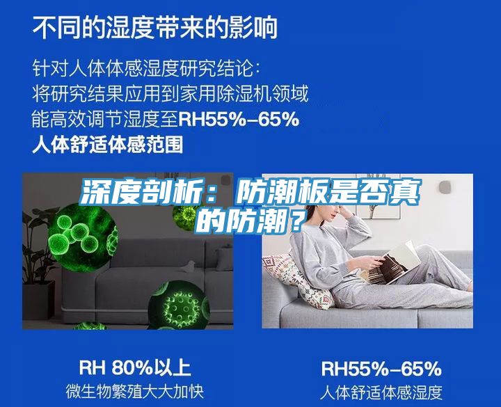 深度剖析：防潮板是否真的防潮？