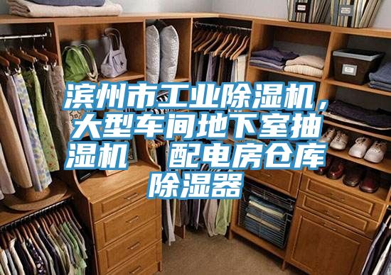 濱州市工業(yè)除濕機，大型車間地下室抽濕機  配電房倉庫除濕器