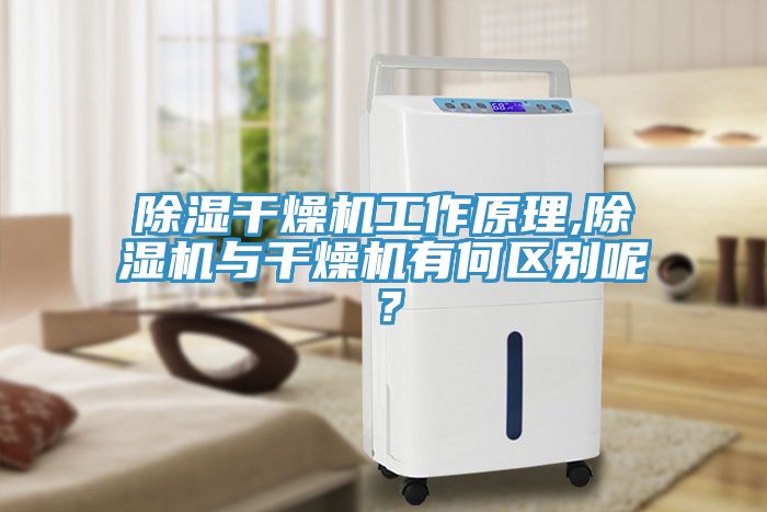 除濕干燥機工作原理,除濕機與干燥機有何區(qū)別呢？