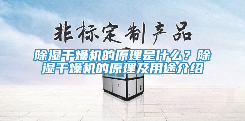 除濕干燥機的原理是什么？除濕干燥機的原理及用途介紹