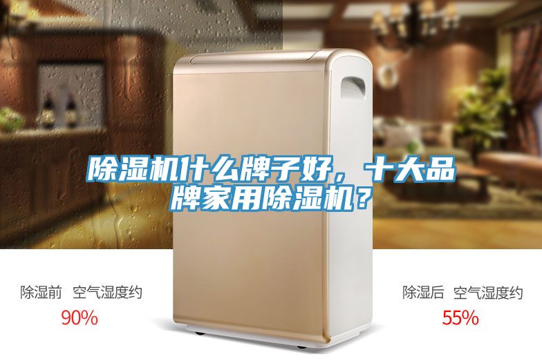 除濕機(jī)什么牌子好，十大品牌家用除濕機(jī)？