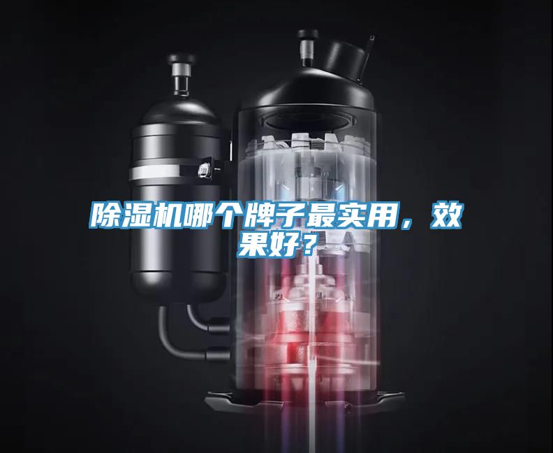 除濕機哪個牌子最實用，效果好？