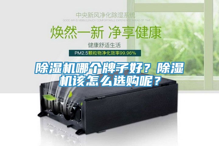 除濕機哪個牌子好？除濕機該怎么選購呢？