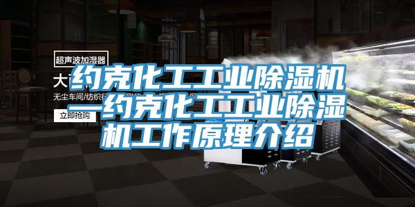 約克化工工業(yè)除濕機—約克化工工業(yè)除濕機工作原理介紹