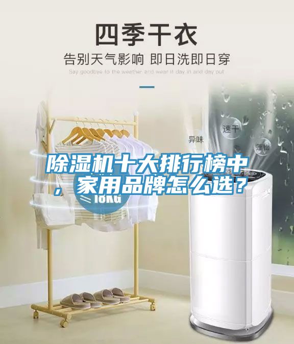 除濕機(jī)十大排行榜中，家用品牌怎么選？