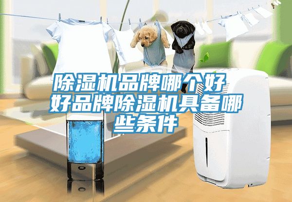 除濕機(jī)品牌哪個(gè)好 好品牌除濕機(jī)具備哪些條件