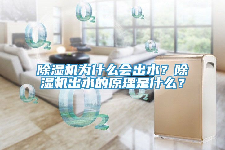 除濕機為什么會出水？除濕機出水的原理是什么？