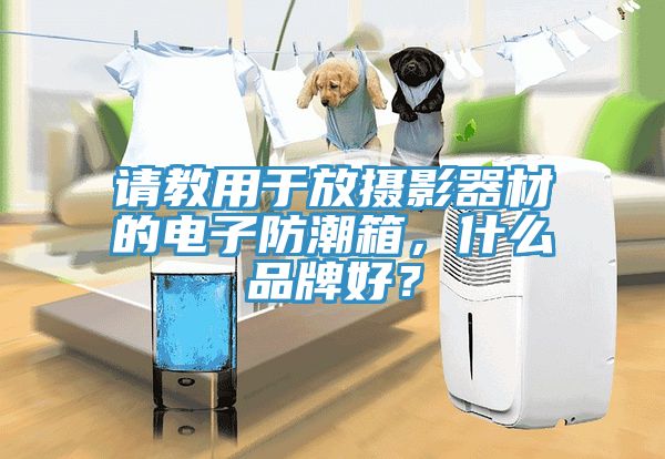 請(qǐng)教用于放攝影器材的電子防潮箱，什么品牌好？