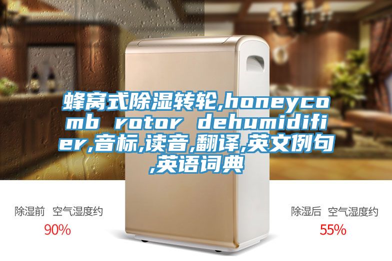 蜂窩式除濕轉(zhuǎn)輪,honeycomb rotor dehumidifier,音標(biāo),讀音,翻譯,英文例句,英語詞典