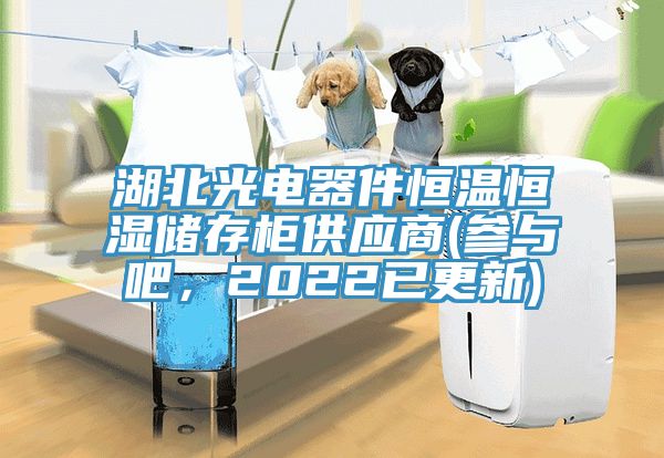 湖北光電器件恒溫恒濕儲(chǔ)存柜供應(yīng)商(參與吧，2022已更新)