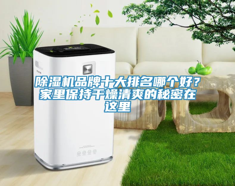 除濕機(jī)品牌十大排名哪個(gè)好？家里保持干燥清爽的秘密在這里