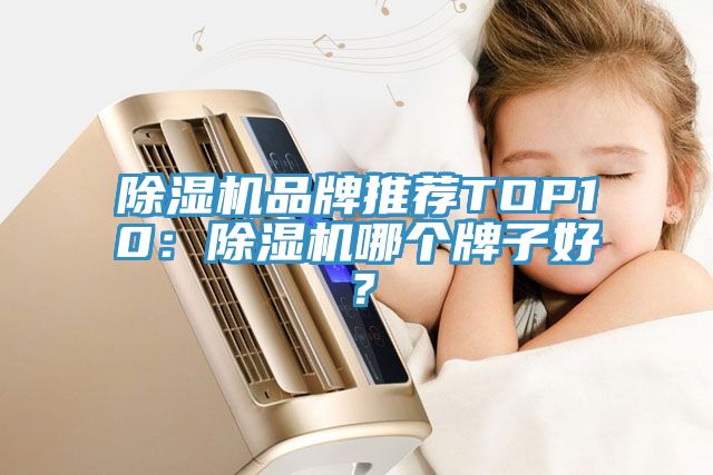 除濕機品牌推薦TOP10：除濕機哪個牌子好？