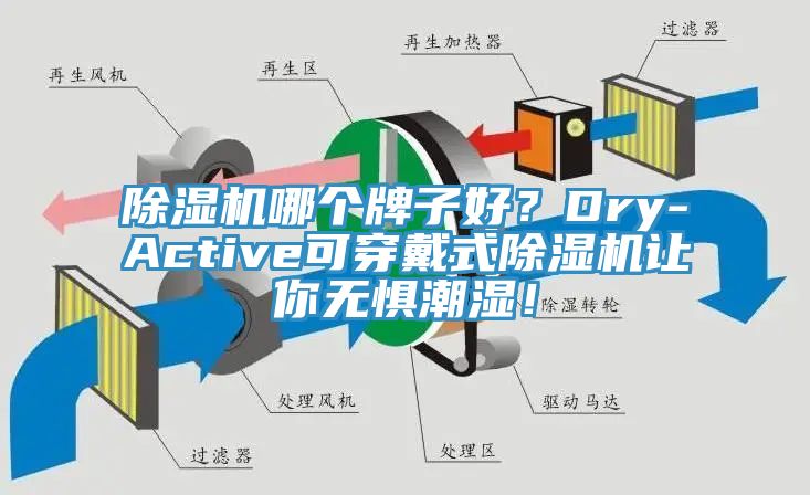 除濕機(jī)哪個(gè)牌子好？Dry-Active可穿戴式除濕機(jī)讓你無懼潮濕！