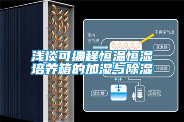 淺談可編程恒溫恒濕培養(yǎng)箱的加濕與除濕