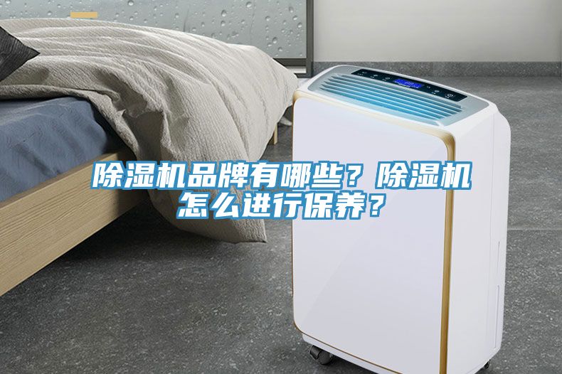 除濕機品牌有哪些？除濕機怎么進行保養(yǎng)？