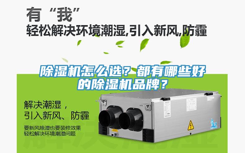 除濕機怎么選？都有哪些好的除濕機品牌？