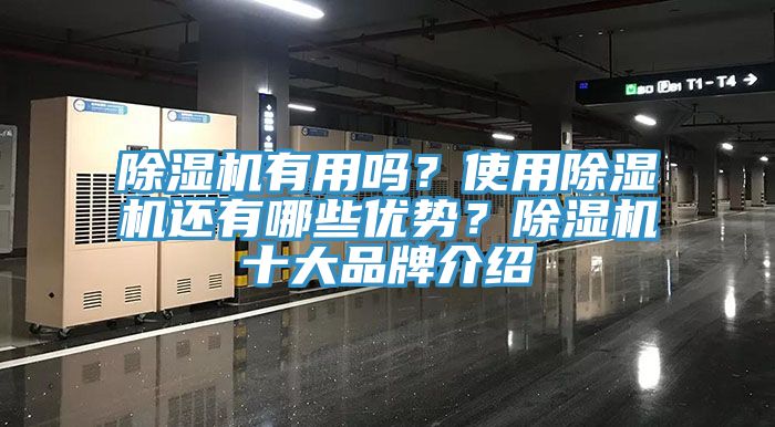 除濕機有用嗎？使用除濕機還有哪些優(yōu)勢？除濕機十大品牌介紹