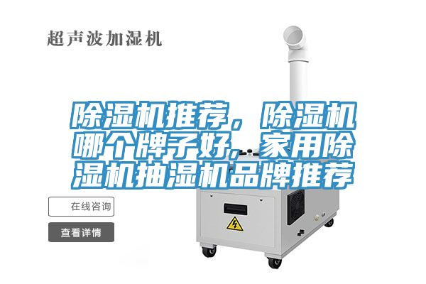 除濕機推薦，除濕機哪個牌子好, 家用除濕機抽濕機品牌推薦