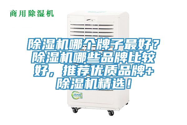 除濕機(jī)哪個(gè)牌子最好？除濕機(jī)哪些品牌比較好，推薦優(yōu)質(zhì)品牌+除濕機(jī)精選！