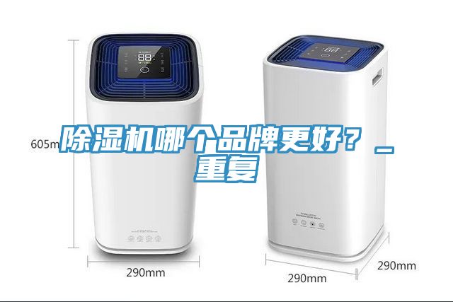 除濕機哪個品牌更好？_重復