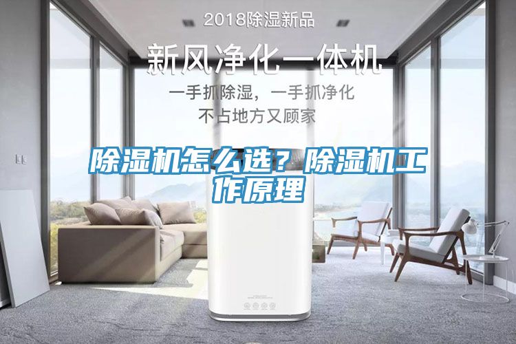 除濕機怎么選？除濕機工作原理